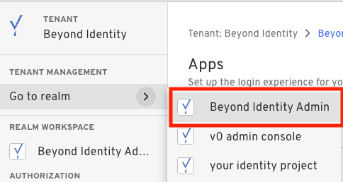 Go To Beyond Identity Admin Realm